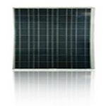 D6P135A1E datasheet preview page 1