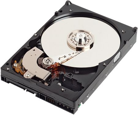 WD10EZEX datasheet preview page 1